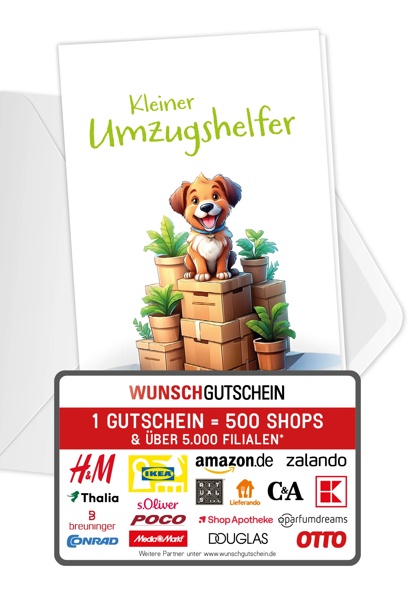 Vorschaubild 1